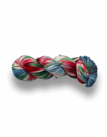 Chamäleon Luise